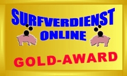 Surferdienst Online Gold Award